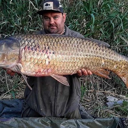 R U Ready Fishing, River Ebro Mequinenza Exteriör bild