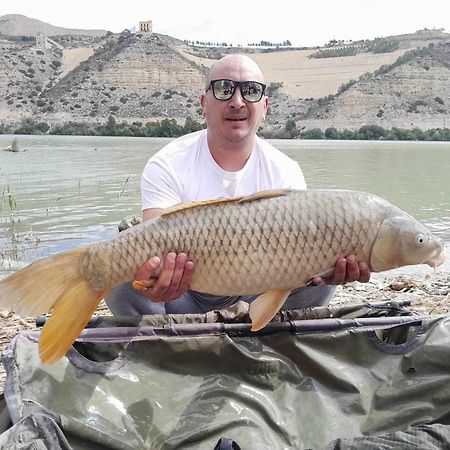 R U Ready Fishing, River Ebro Mequinenza Exteriör bild