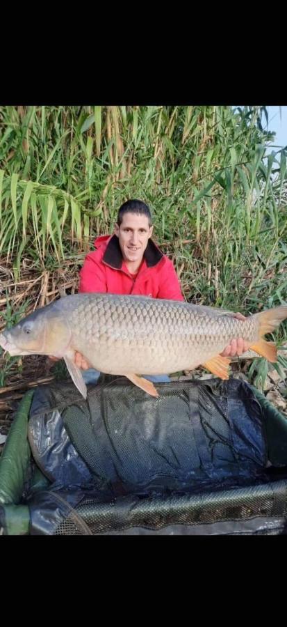R U Ready Fishing, River Ebro Mequinenza Exteriör bild