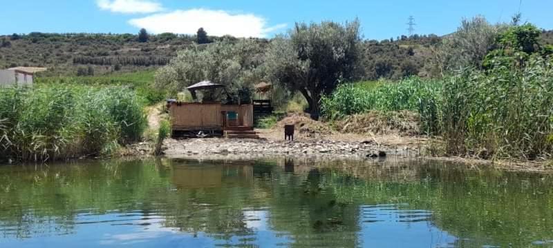 R U Ready Fishing, River Ebro Mequinenza Exteriör bild