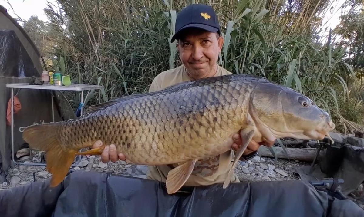 R U Ready Fishing, River Ebro Mequinenza Exteriör bild