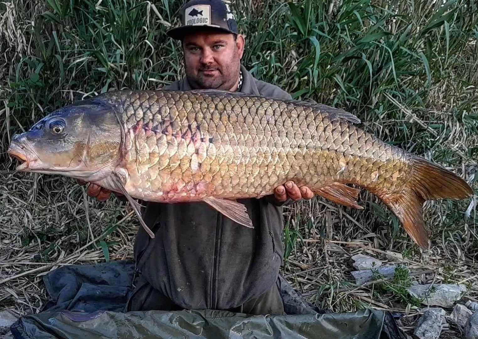R U Ready Fishing, River Ebro Mequinenza Exteriör bild