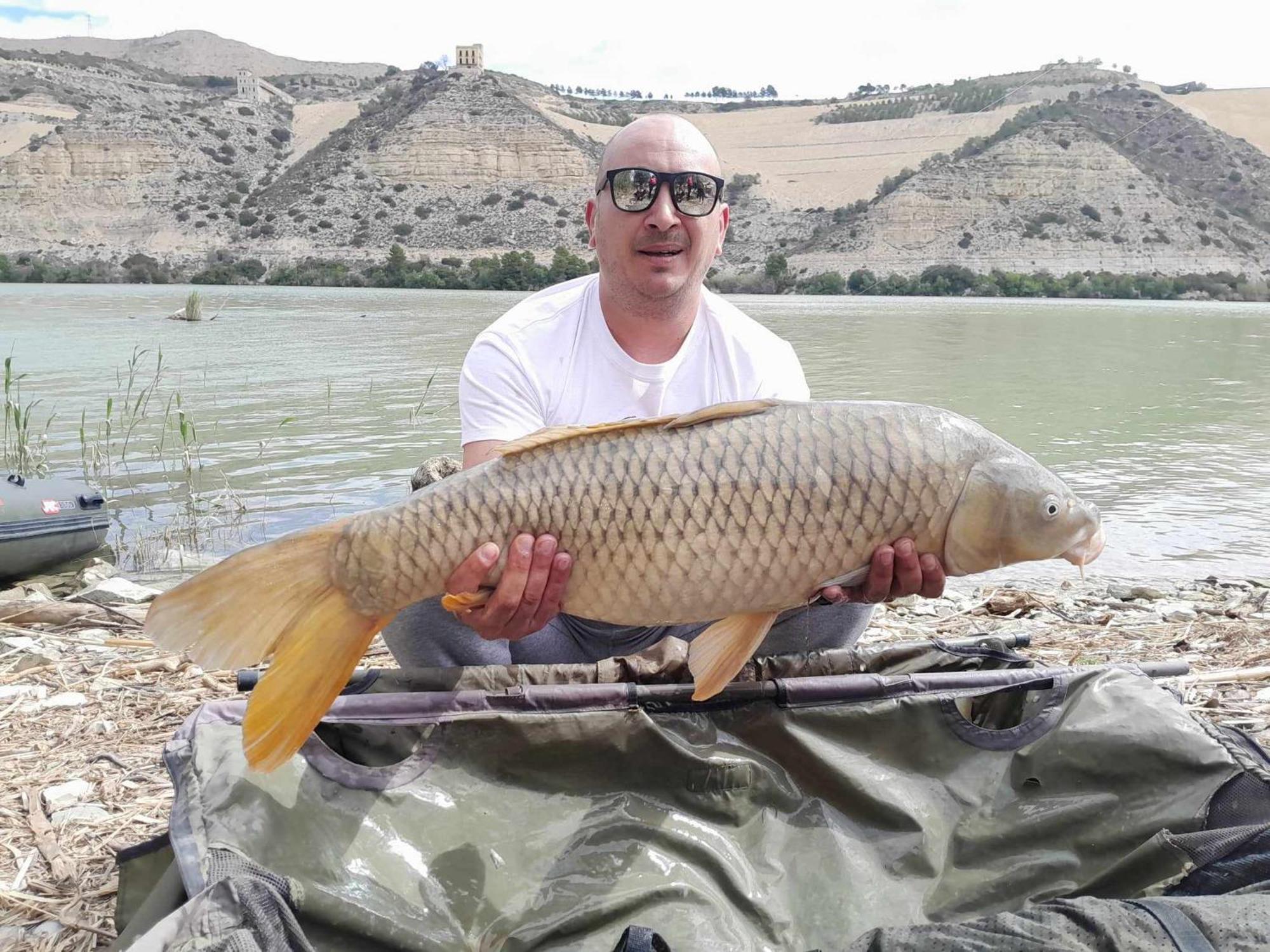 R U Ready Fishing, River Ebro Mequinenza Exteriör bild